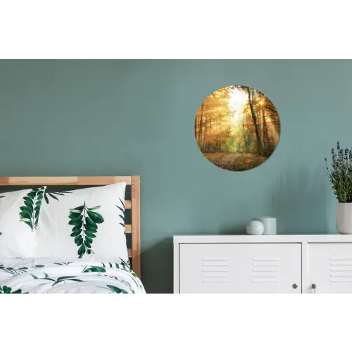 Bos - Herfst - Zon - Landschap - Natuur Wandcirkel aluminium klein -slaapkamer
