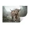 Schotse hooglander - Natuur - Herfst - Dieren - Wild - Bos Muursticker klein -3d