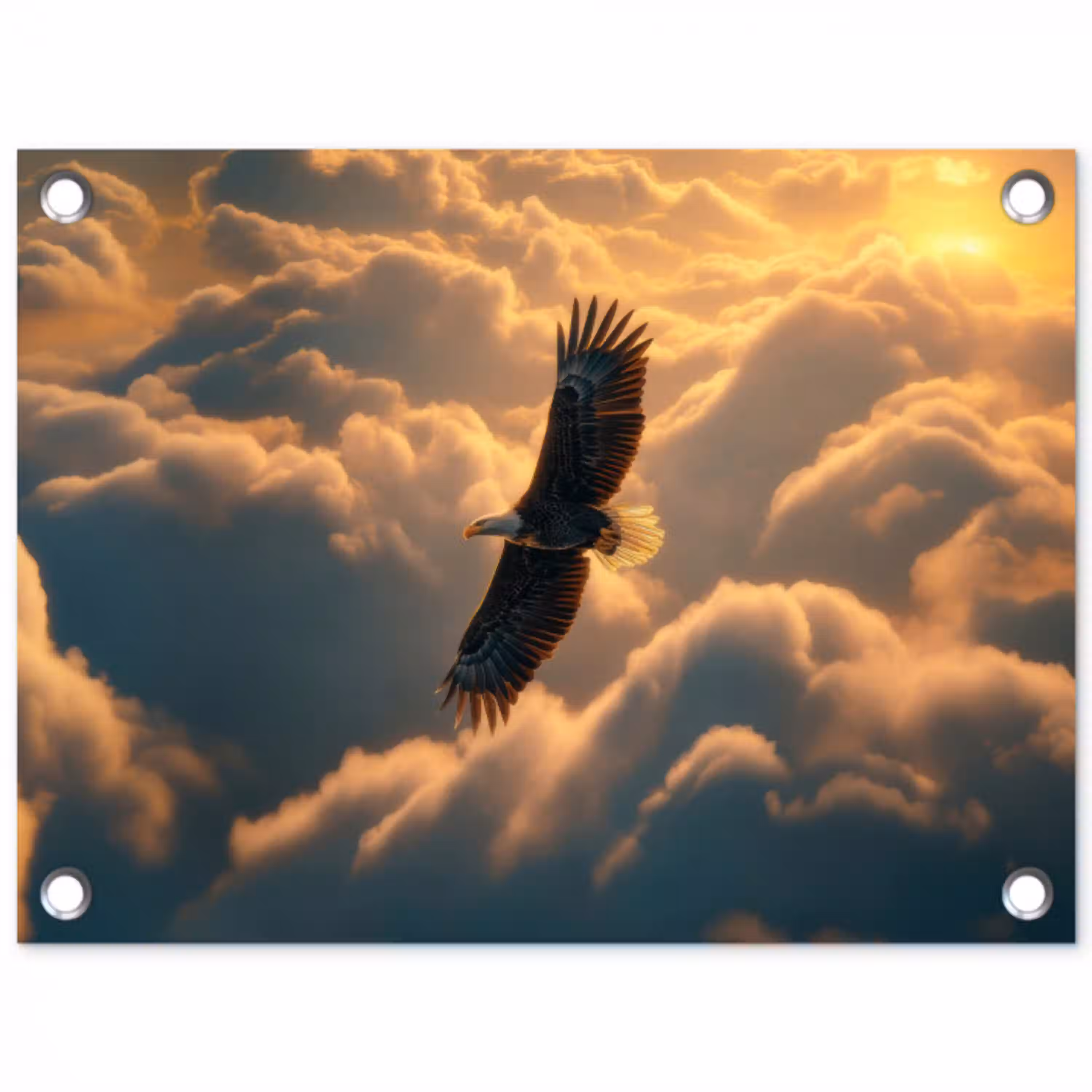 Adelaar - Wolken - Zon tuinposter los doek klein -3d