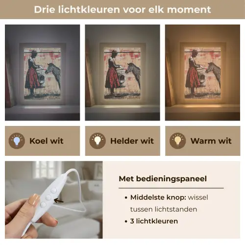 Street art - Zebra - Vrouw - Dieren - Graffiti - Banksy Style Light Box met kabel (Tafellamp) klein -USP_lichtkleurNL