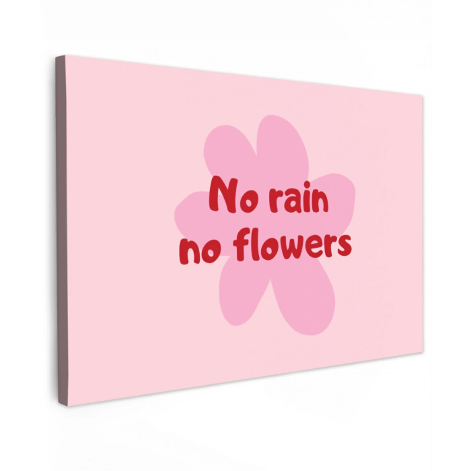 No rain no flowers - Bloem - Roze canvas 2cm klein -z3d