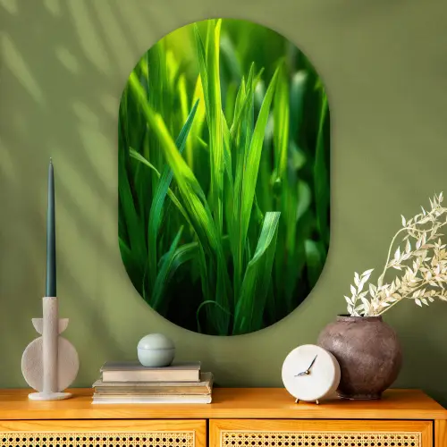 Grassprieten - Lichtinval - Groen Wandcirkel Ovaal Glas middel -sfeer2
