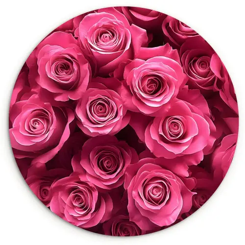 Rozen - Pink - Bloem Wandcirkel kunststof plaat 5mm dik klein -3d