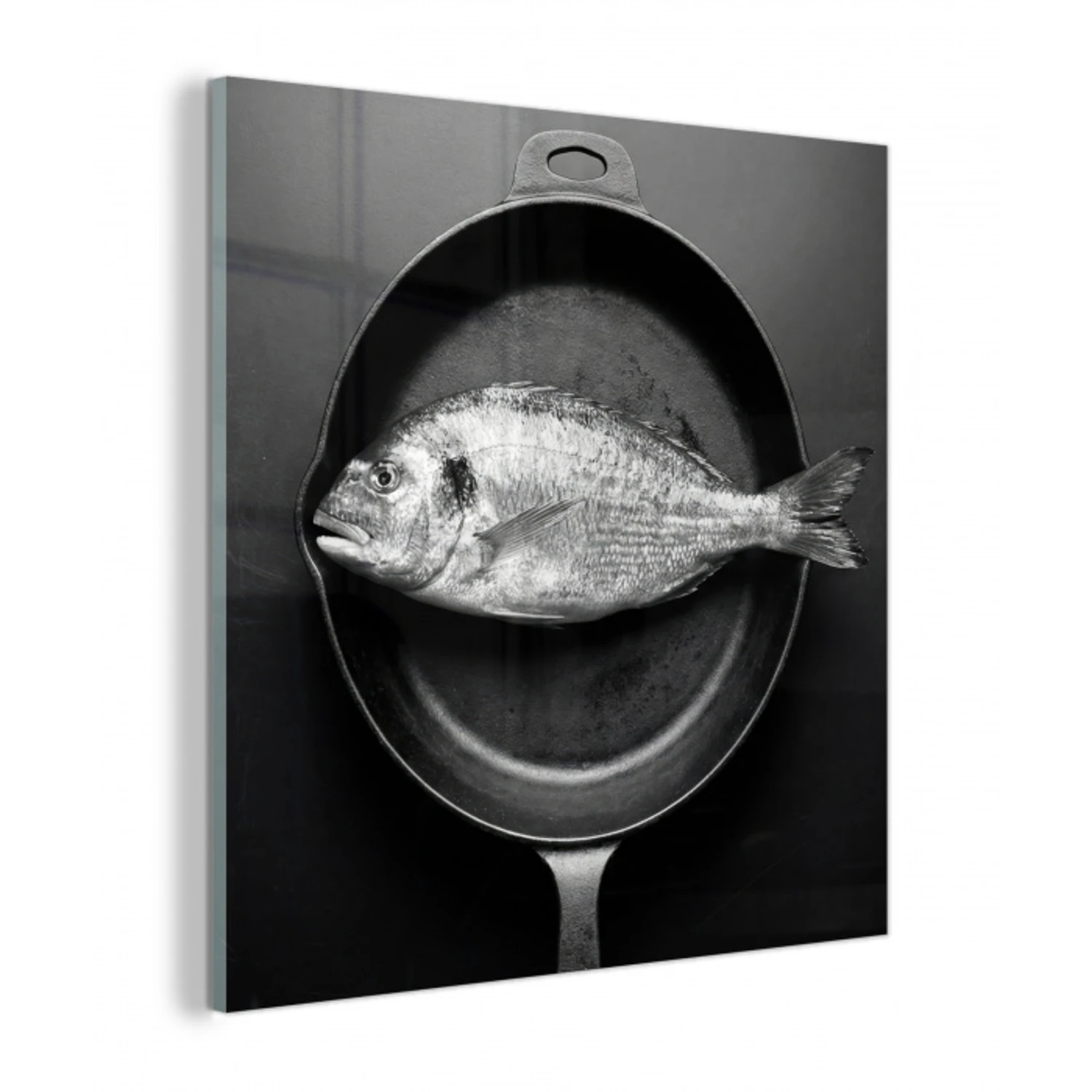 Pan - Vis - Zwart - Wit plexiglas 5mm klein -z3d