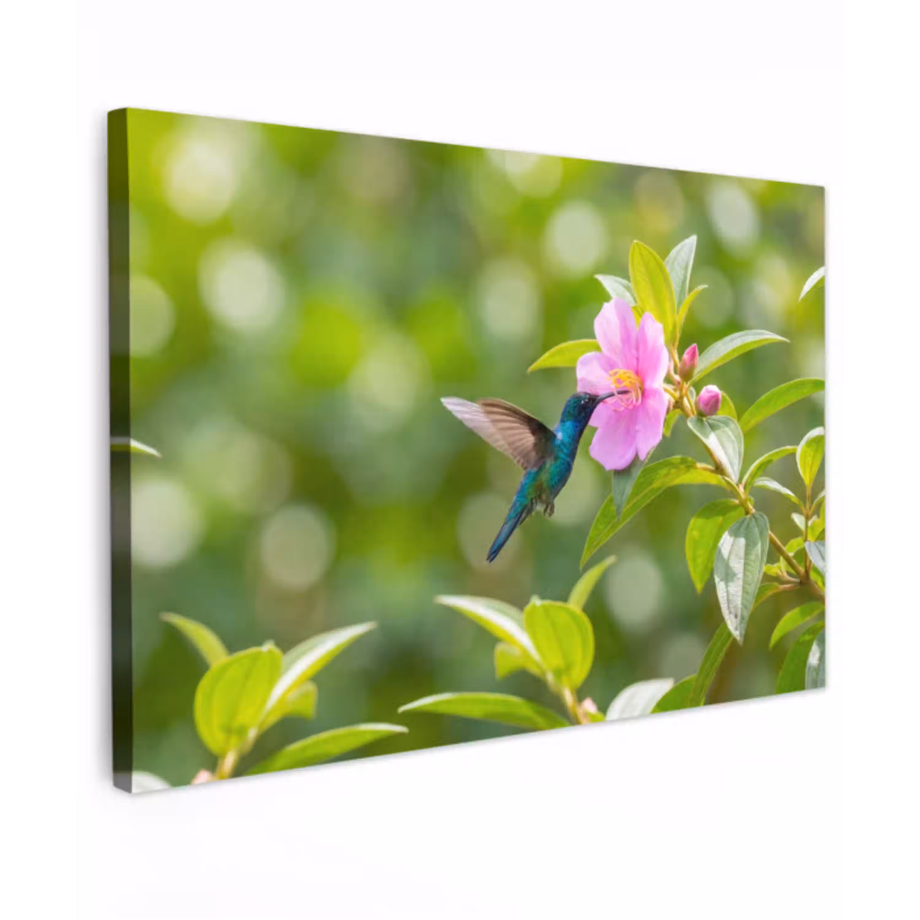 Kolibrie - Bloem - Natuur - Groen Tuinposter op houten frame 2 cm dik klein -3d