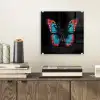 Vlinder - Kleuren - Dier - Zwart plexiglas 5mm klein -sfeer1