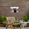 Schotse hooglander - Bruin - Water Tuinposter op houten frame 2 cm dik klein -sfeer3