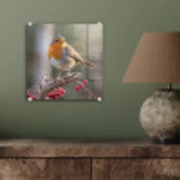 Roodborst - Tak - Bessen - Natuur plexiglas 5mm klein -sfeer3