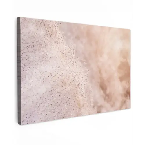 Pampasgras - Structuur - Planten - Natuur canvas 2cm klein -z3d