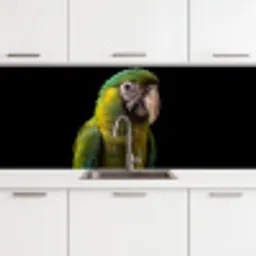 Ara - Portret - Groen keuken achterwand 2 middel -3d