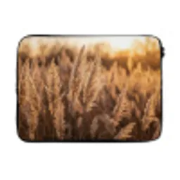 Rietpluimen - Gras - Zonsondergang - Goud - Serene laptophoes neopreen klein -3d
