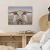 Longhorn - Grasveld - Dier PET vilt klein -sfeer3