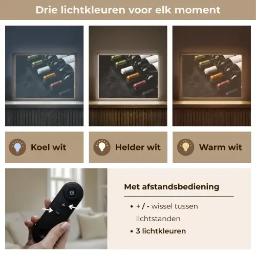 Wijn - Flessen - Variatie - Smaken Light Box met batterij (Wandlamp) middel -USP_lichtkleurNL