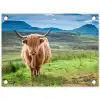 Schotse hooglander - Koe - Natuur - Berg - Gras tuinposter los doek klein -3d
