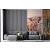 Schotse hooglanders - Licht - Lucht - Natuur fotobehang vinyl groot -bank