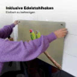 Papagaai - Tak - Natuur - Kleurrijk Inductie beschemer met haakjes klein -ky-ophangen-de