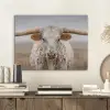 Longhorn - Grasveld - Dier PET vilt klein -sfeer1
