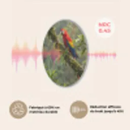 Ara - Jungle - Rood Akoestische PET Vilt - Rond klein -USP_FR