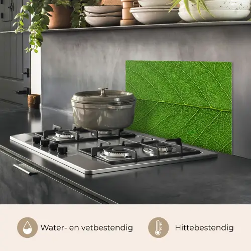 Natuur - Blad - Groen keuken achterwand spatscherm klein -usp_NL
