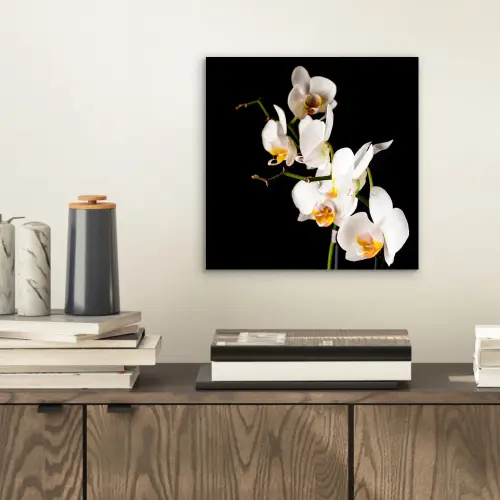 Orchidee - Bloemen - Planten - Botanisch aluminium wit klein -sfeer1