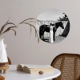 Vrouw - Paard - Artistiek Wandcirkel behangsticker klein -sfeer3