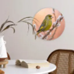 Groenling - Katjes - Lente - Natuur - Zacht Wandcirkel kunststof plaat 5mm dik klein -sfeer4