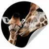 Giraffe - Dieren - Zwart - Portret - Dieren Wandcirkel behangsticker klein -3d