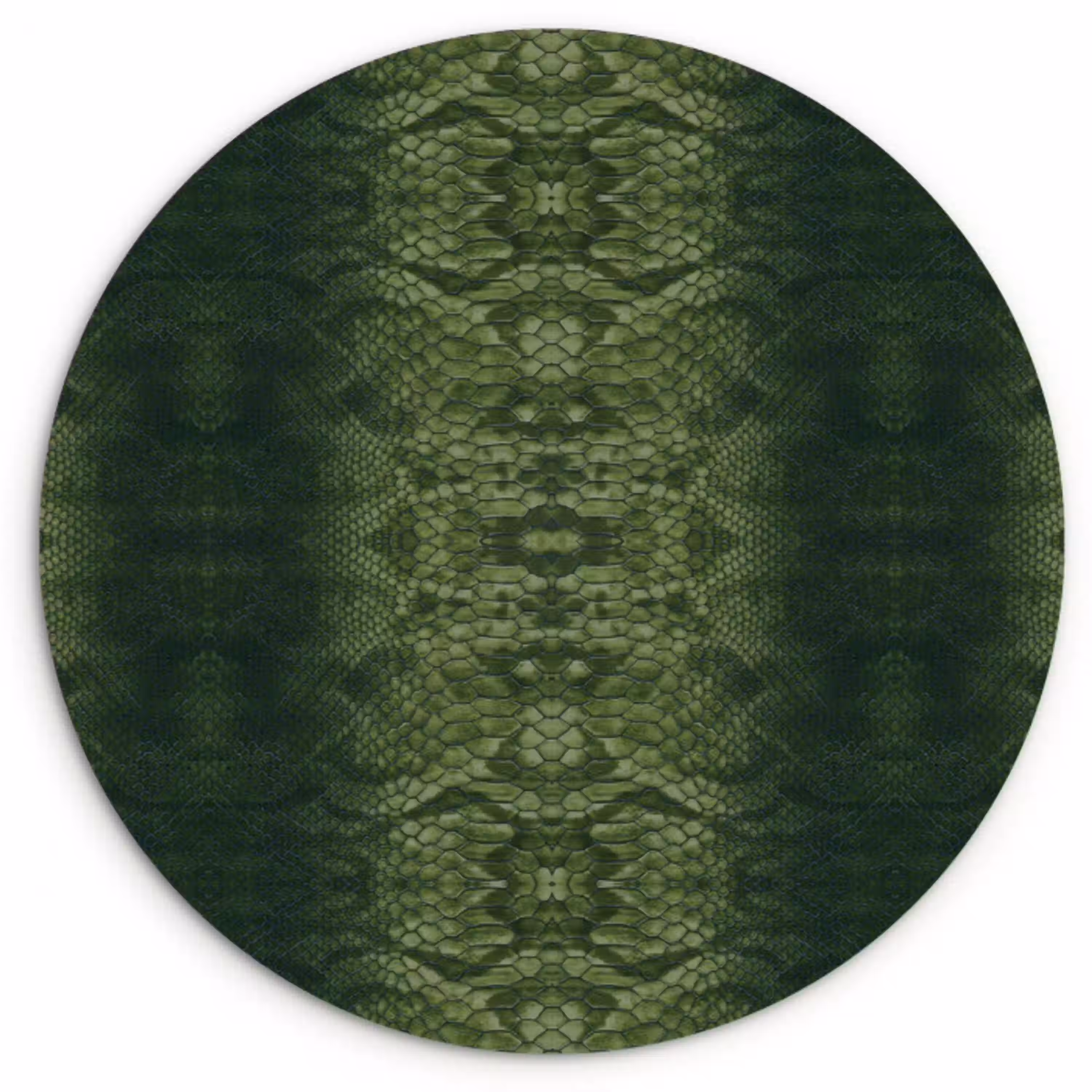 Slang - Boa - Groen Wandcirkel plexiglas klein 852 -3d