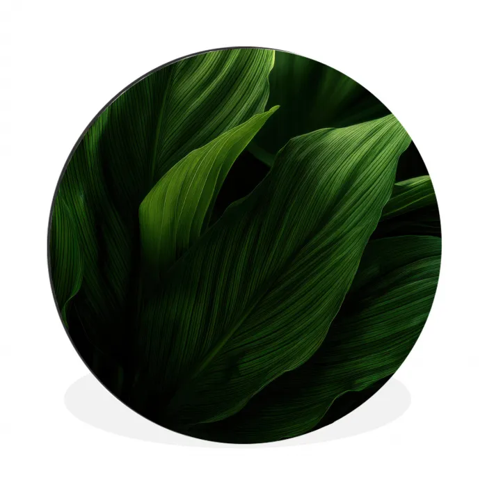 Bladeren - Schaduw - Groen - Textuur Wandcirkel aluminium klein -3d