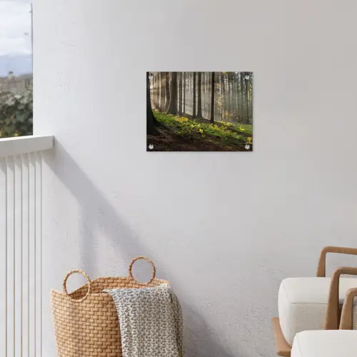 Zon - Takken - Bomen - Bos - Natuur tuinposter los doek klein -sfeer8