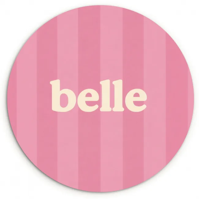 Roze - Gestreept - Belle Wandcirkel kunststof plaat 5mm dik klein -3d