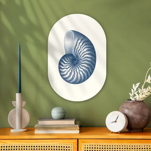 Blauw - Schelp - Spiraal Wandcirkel Ovaal Forex klein -sfeer2