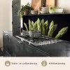 Asperges - Groen - Zwart keuken achterwand 2 middel -usp_NL