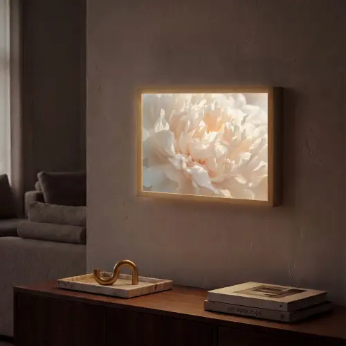 Close up - Pioenroos - Lichtroze Light Box met batterij (Wandlamp) middel -sfeer1