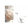 Close up - Pioenroos - Lichtroze fotobehang vinyl groot -3d