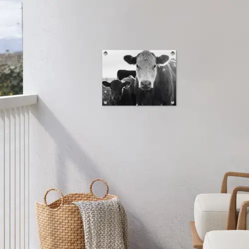 Koeien - Zwart - Wit tuinposter los doek klein -sfeer8