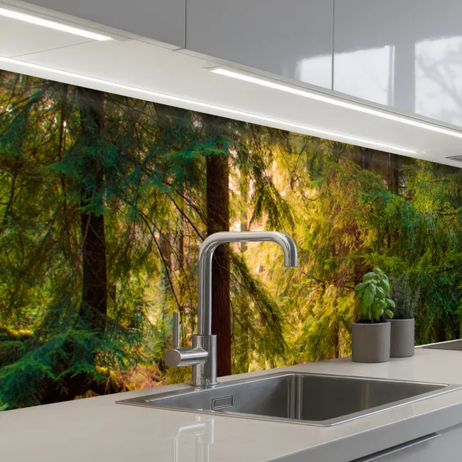 Crédence Cuisine - Forêt - Chemin - Arbres - Vert - Soleil - Nature