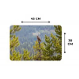 Uil - Oehoe - Bomen - Natuur Placemat vinyl groot -specs