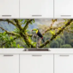 Toekan - Jungle - Natuur - Kleurrijk keuken achterwand 2 middel -3d