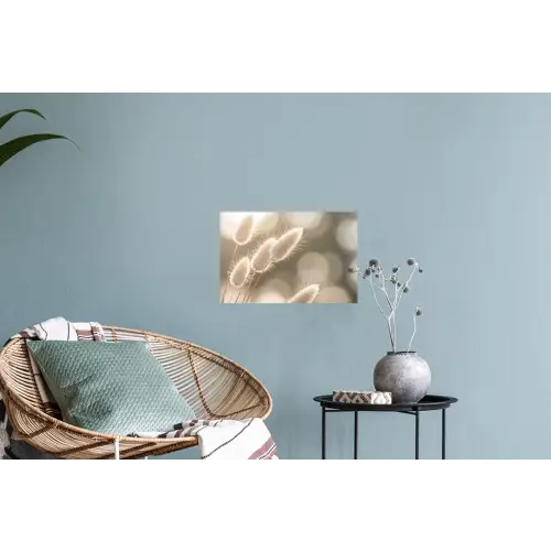 Hazestaartgras - Wit - Zonlicht Muursticker klein -plant