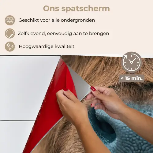 Schotse hooglander - Neus - Bruin keuken achterwand spatscherm klein -spatscherm_NL