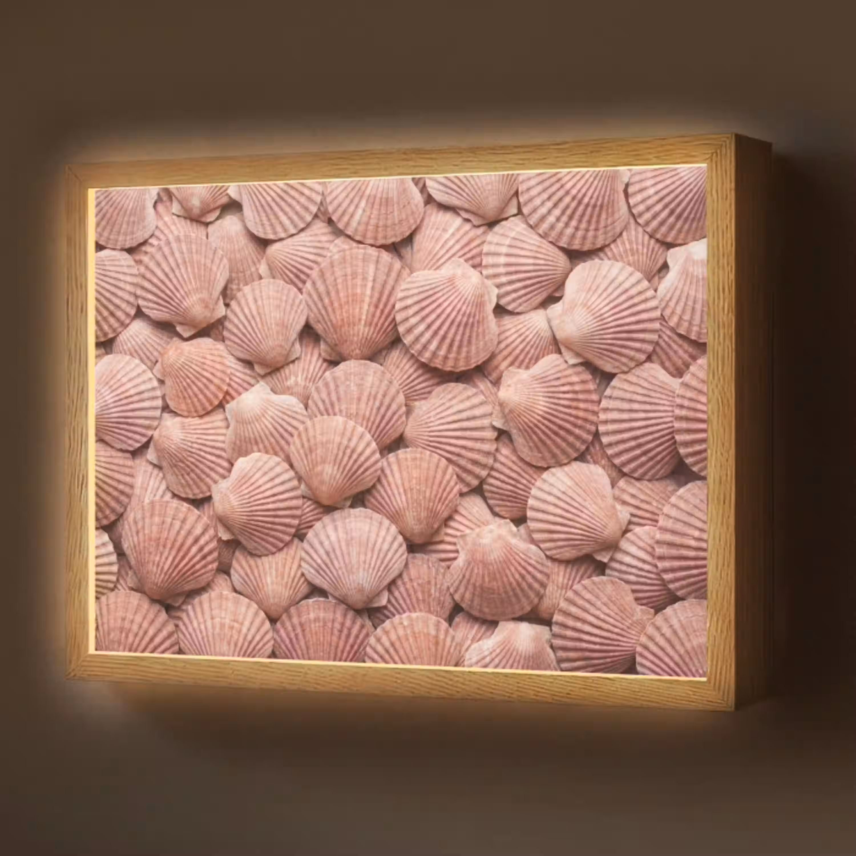 Schelpen - Patroon - Roze Light Box met batterij (Wandlamp) middel -z3d_website