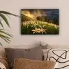 Bloemenveld - Heuvels - Zonsondergang - Berg - Natuur - Wit - Heuvels canvas 2cm klein -sfeer1