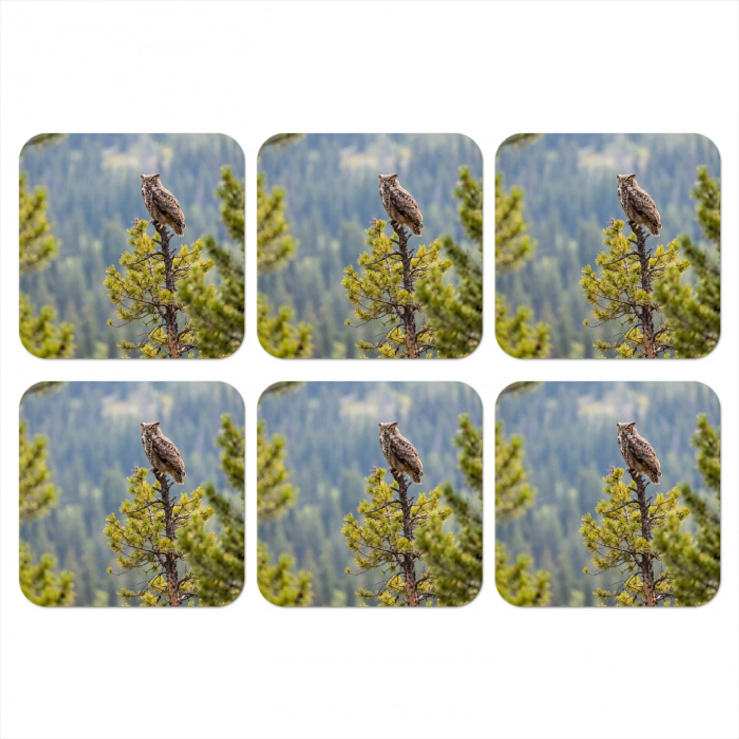 Uil - Oehoe - Bomen - Natuur onderzetter kurk middel -3d