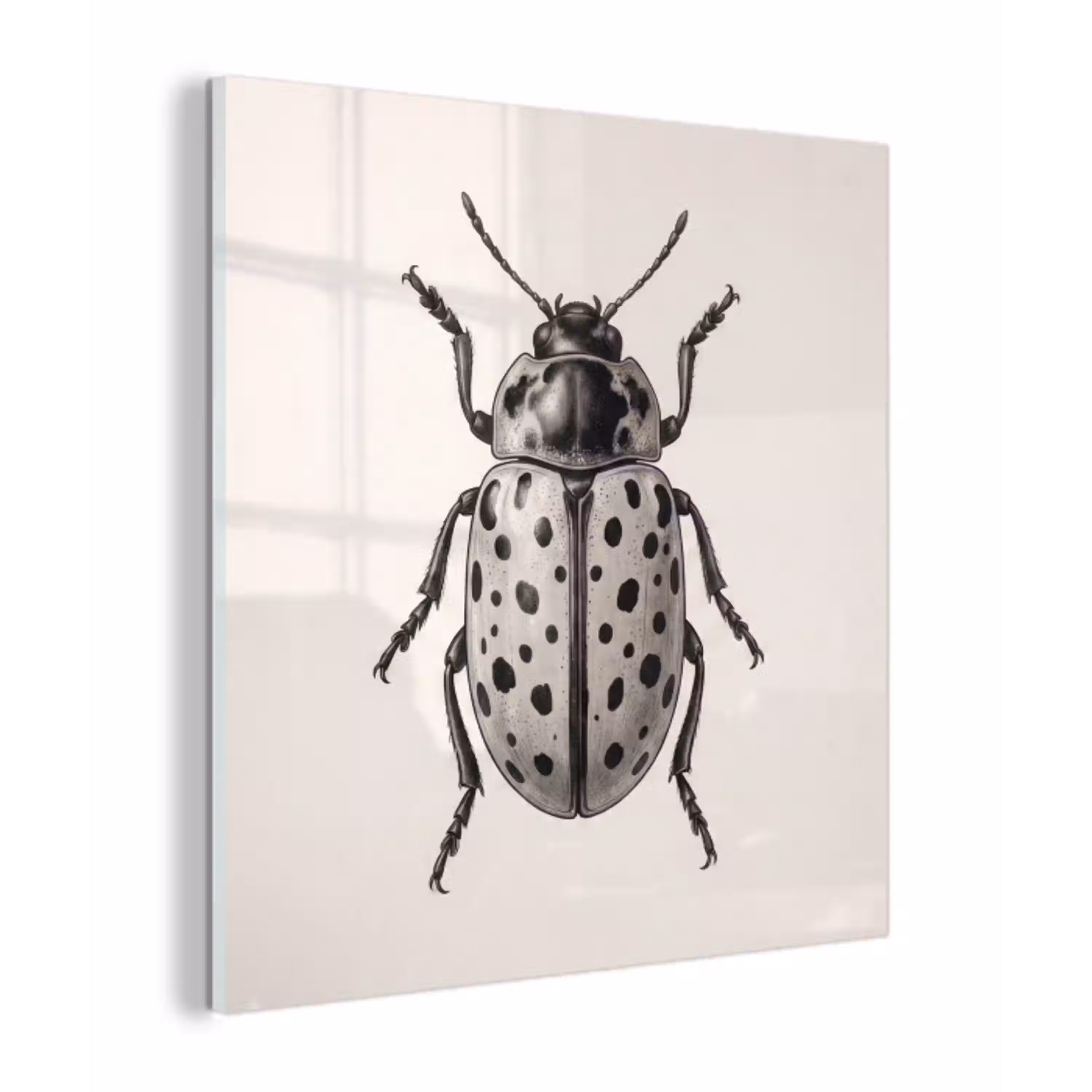 Kever - Insect - Vintage plexiglas 5mm klein -z3d