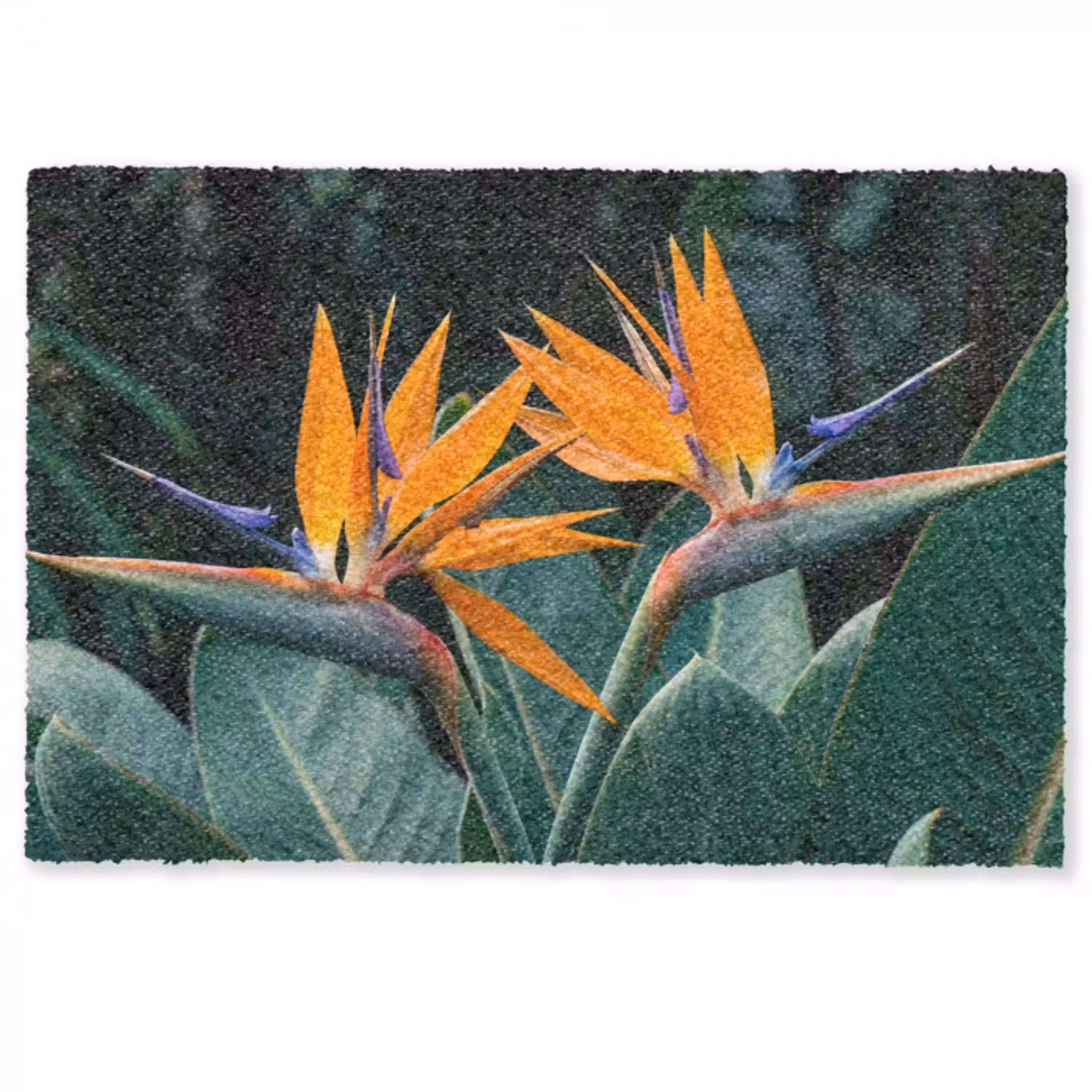 Paradijsvogel - Bloem - Exotisch Deurmat klein -zkaufland3d
