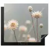 Strobloemen - Wit - Daglicht Inductie beschermer vinyl 3mm middel -3d