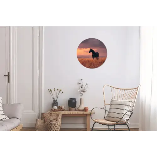 Paard - Wolken - Open veld Wandcirkel aluminium klein -woonkamer