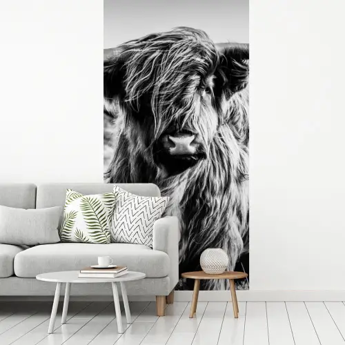 Schotse hooglander - Natuur - Koe - Zwart - Wit fotobehang vinyl groot -woonkamer