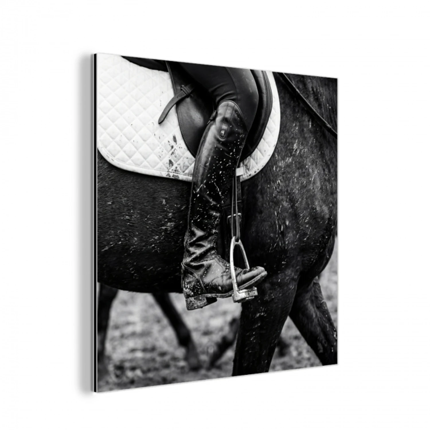 Paard - Sport - Zwart - Wit aluminium wit klein -3d